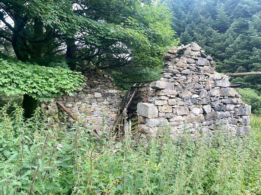 Cloghercor 6 of 7