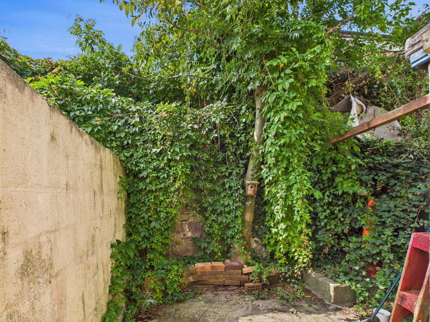8 O'Brien Street 21 of 21