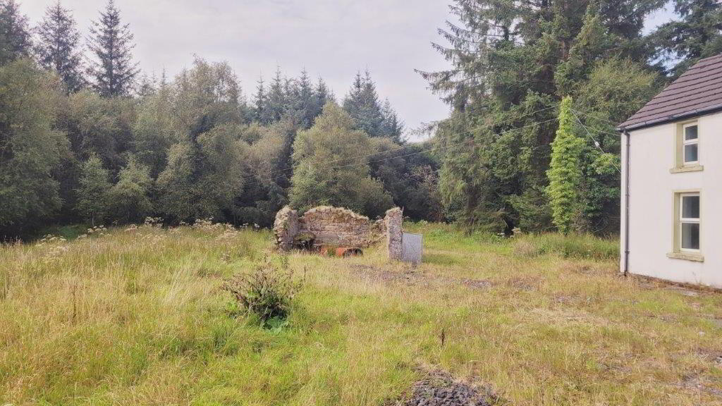 Raheelin 6 of 13