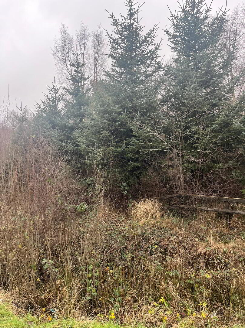 Circa 1.34 Acres, Rathernan 2 of 7