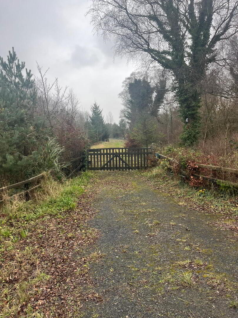 Circa 1.34 Acres, Rathernan 5 of 7