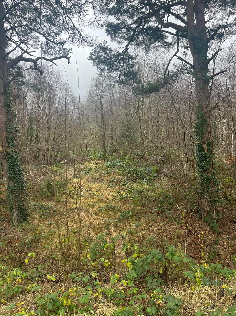 Circa 1.34 Acres, Rathernan 1 of 7