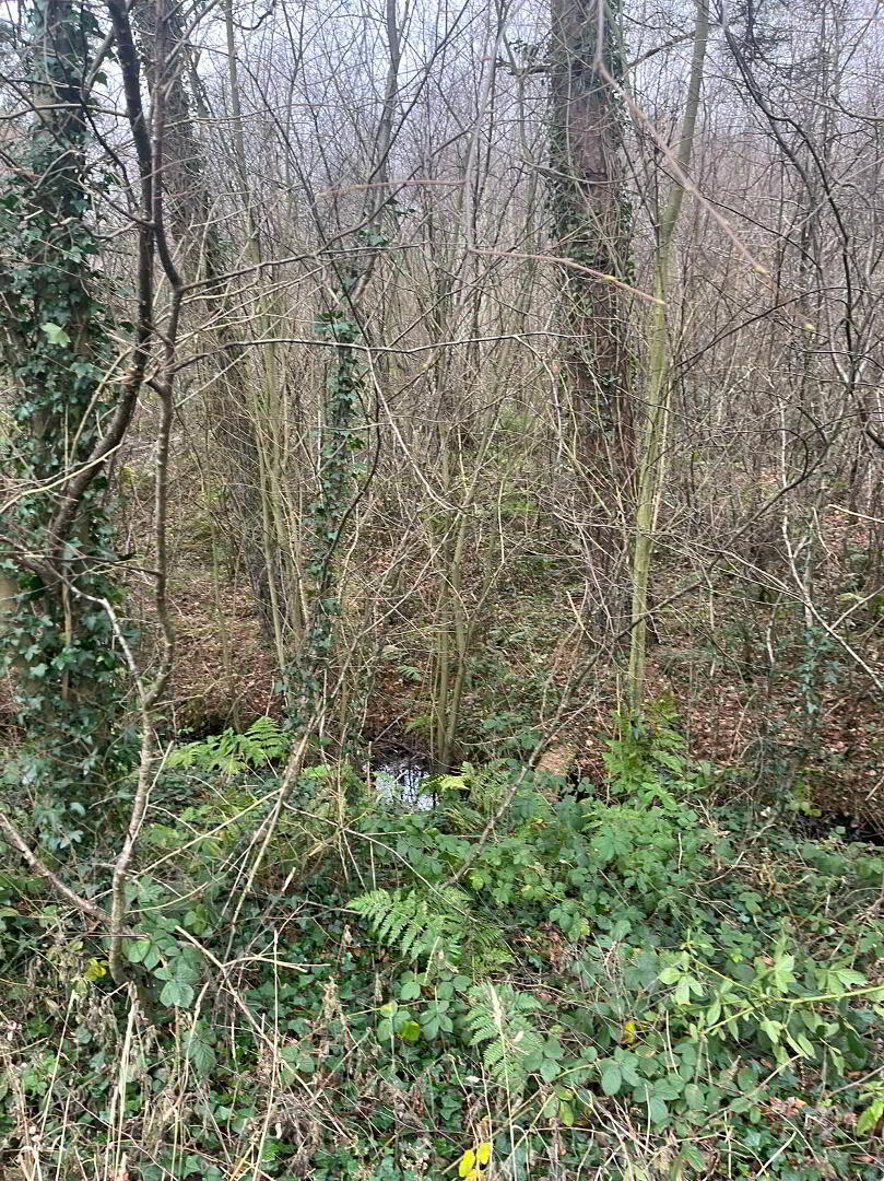 Circa 1.34 Acres, Rathernan 6 of 7