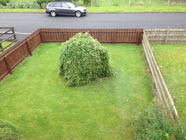 19 Woodvale Crescent 12 of 12