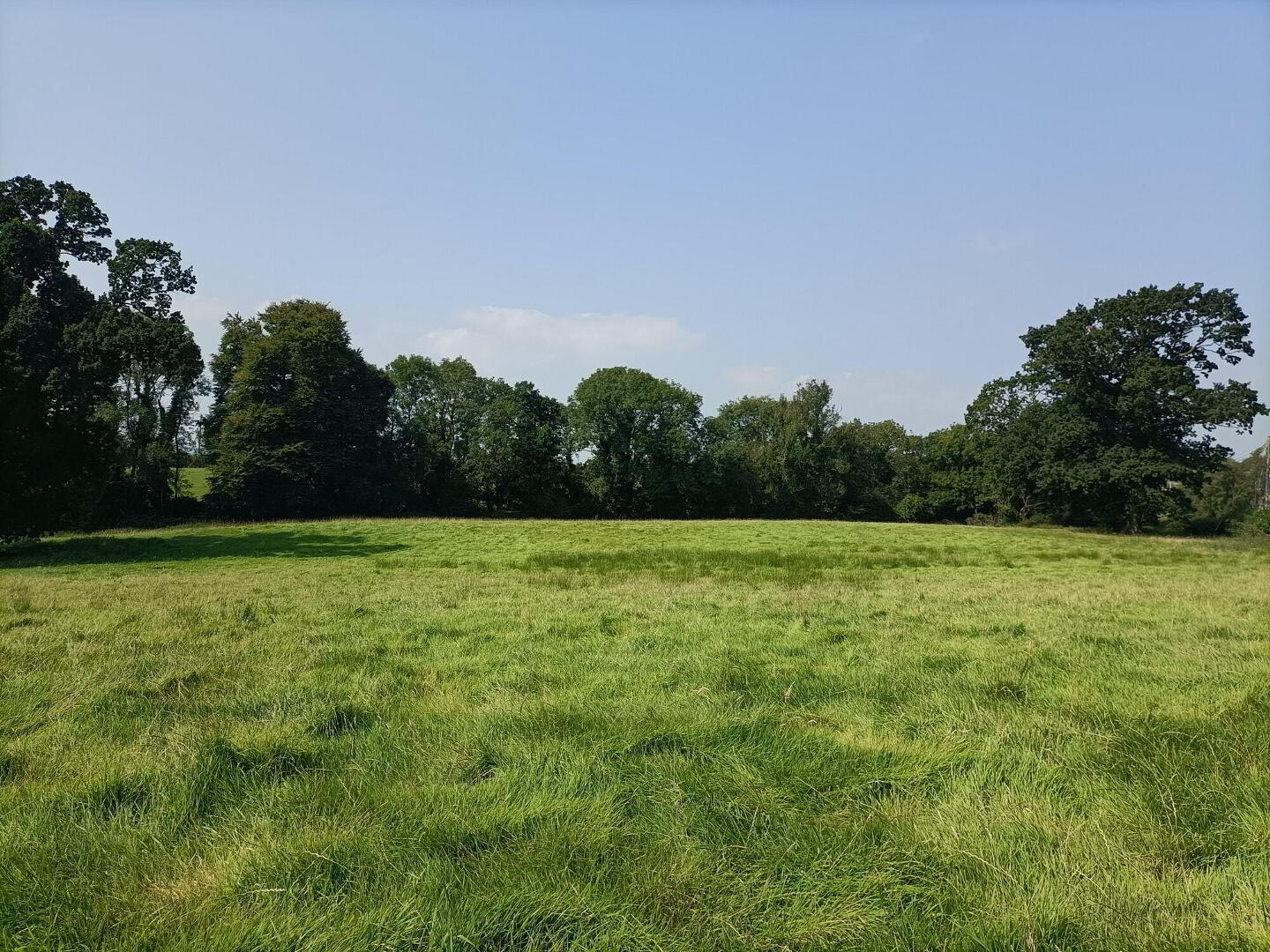 Glenavy Road 1 of 5