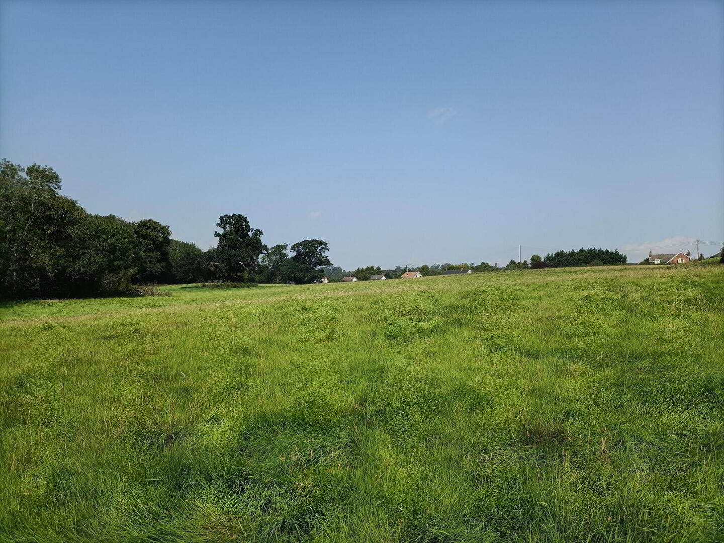Glenavy Road 2 of 5