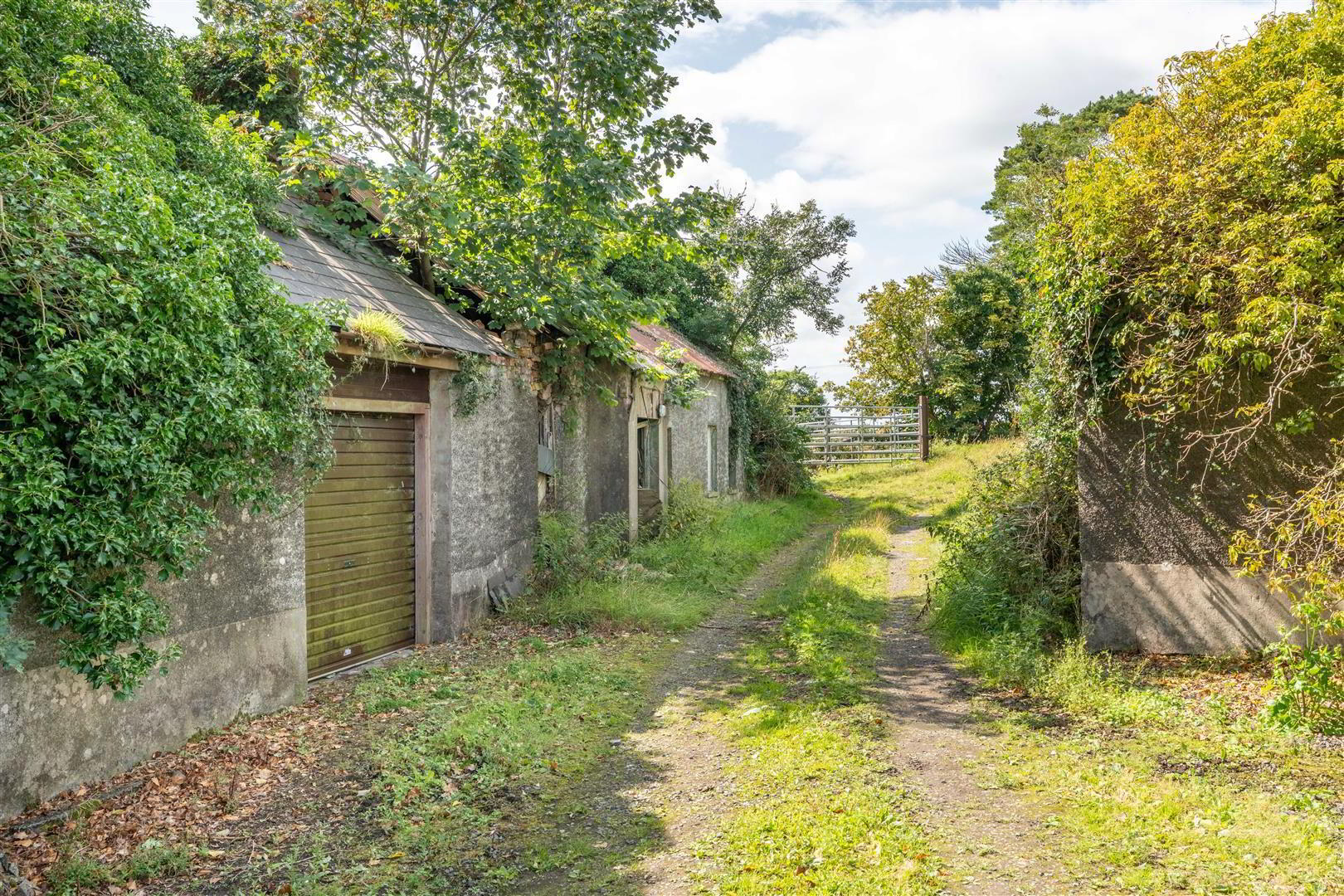 Windy Ridge, 84a Manse Road 17 of 17