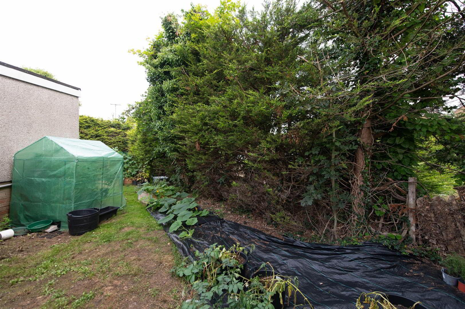 3 Moyra Close 32 of 36