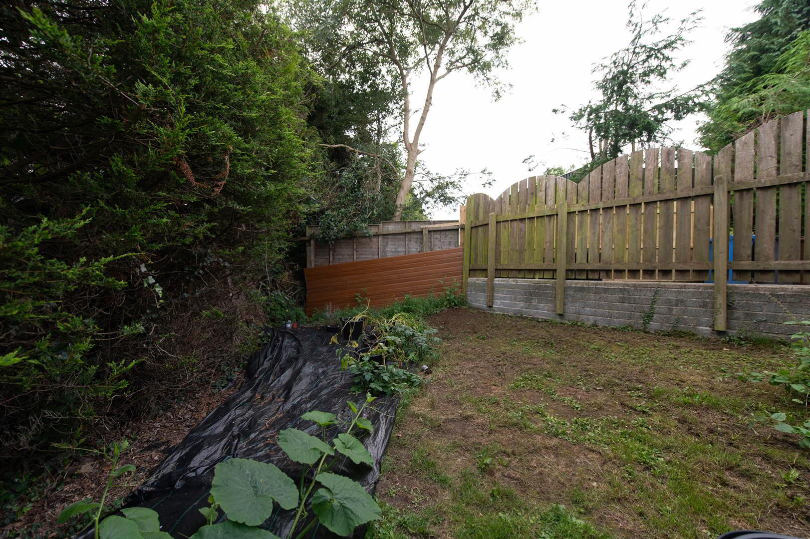 3 Moyra Close 34 of 36