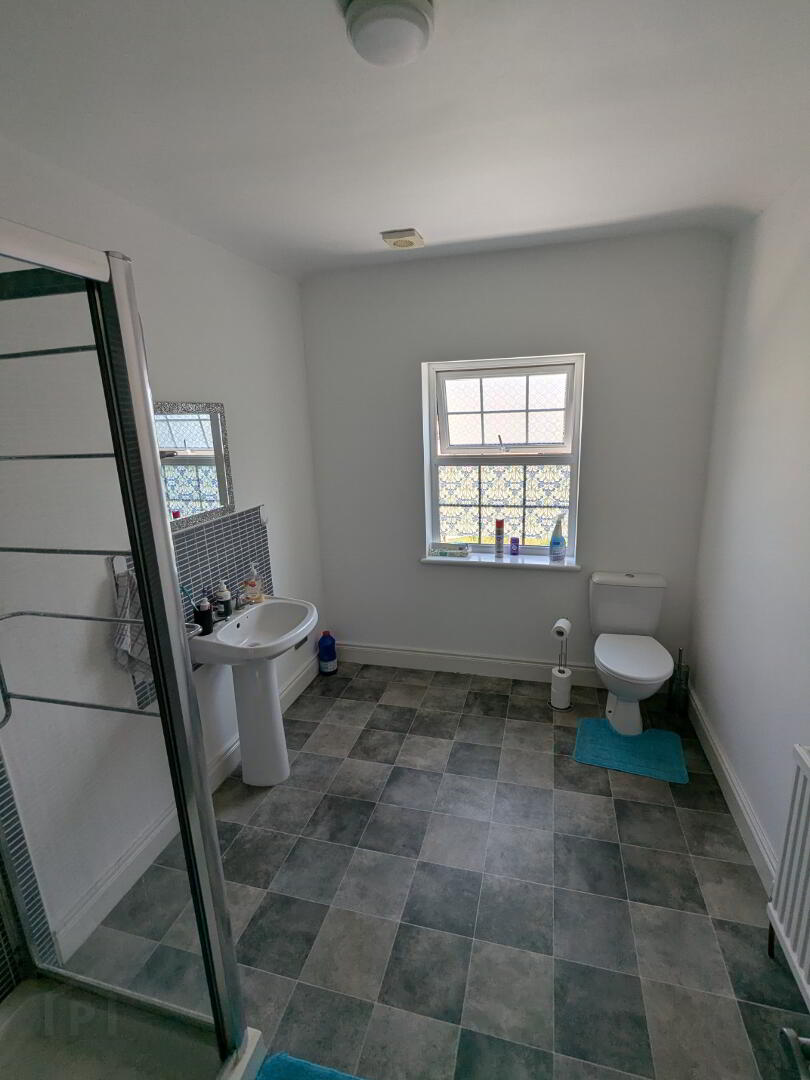 Room To Let, 177 Thomas Street 4 of 4