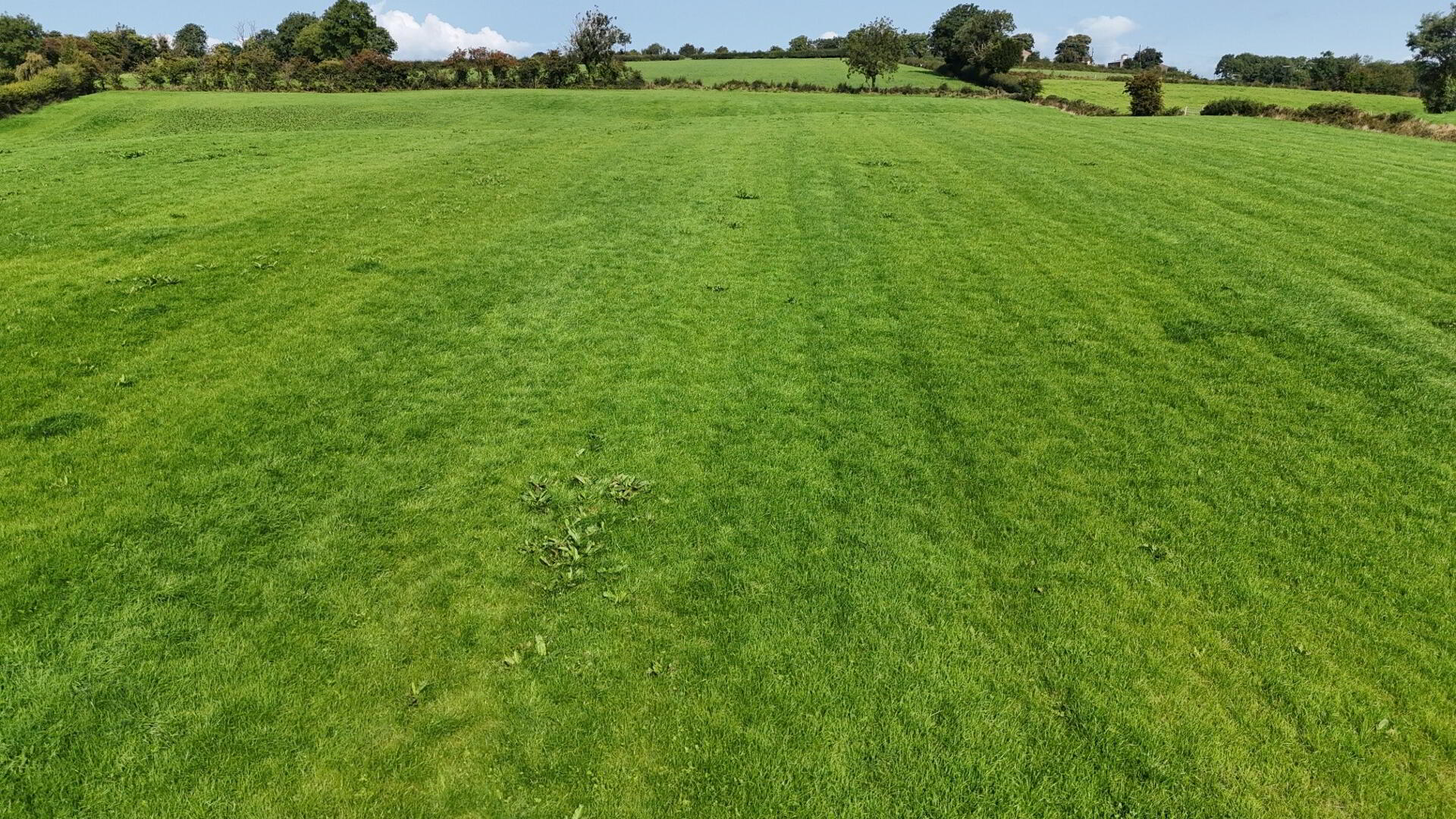 Prime 25 Acre Arable Farm, Corbally Road 6 of 14