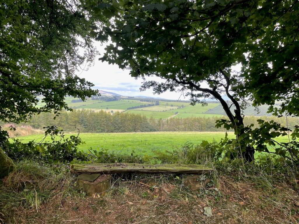 Thomastown 12 of 29