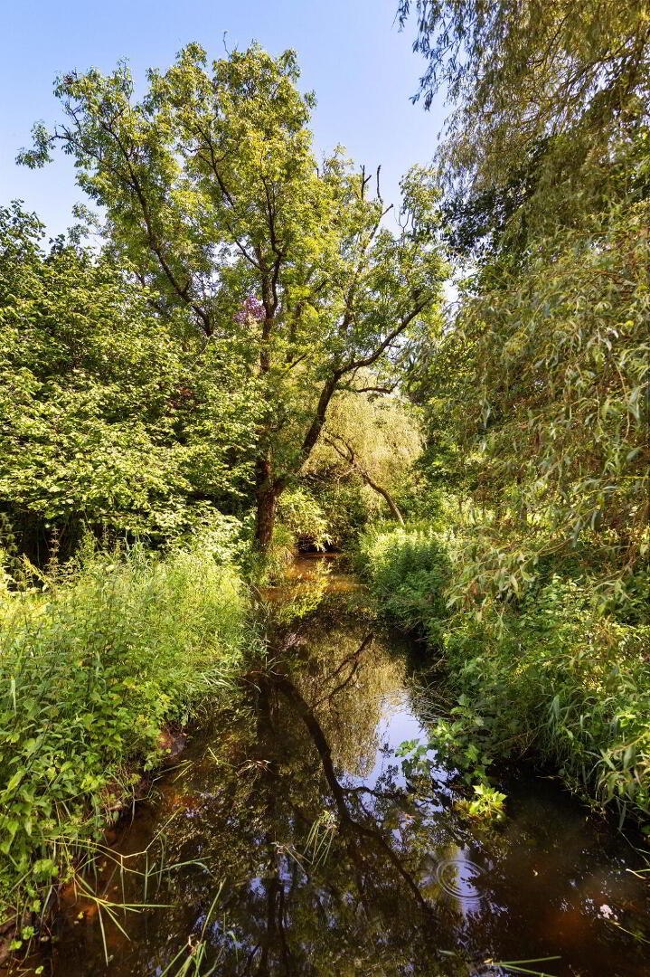 Clooneen House, Mill & Gardens 58 of 62