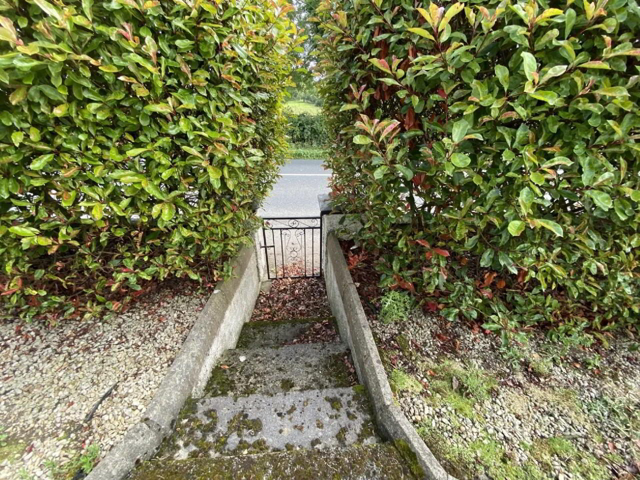 Finea Road 15 of 17