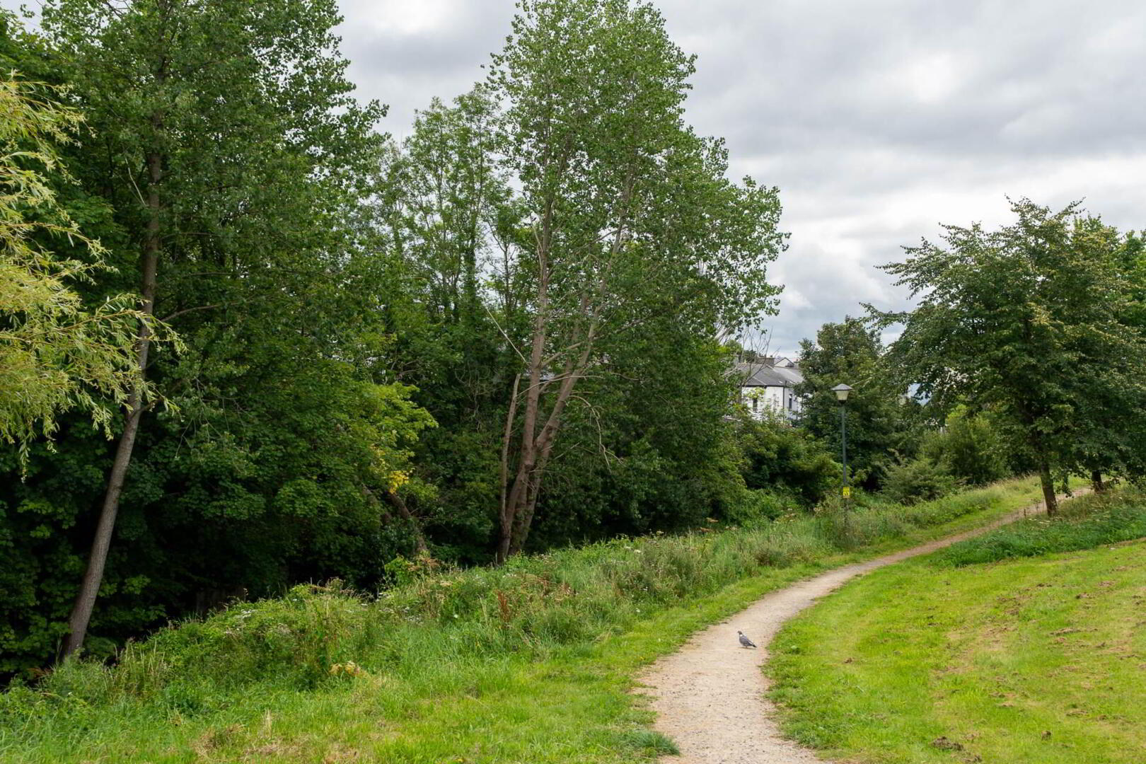 Magazine Road 8 of 18