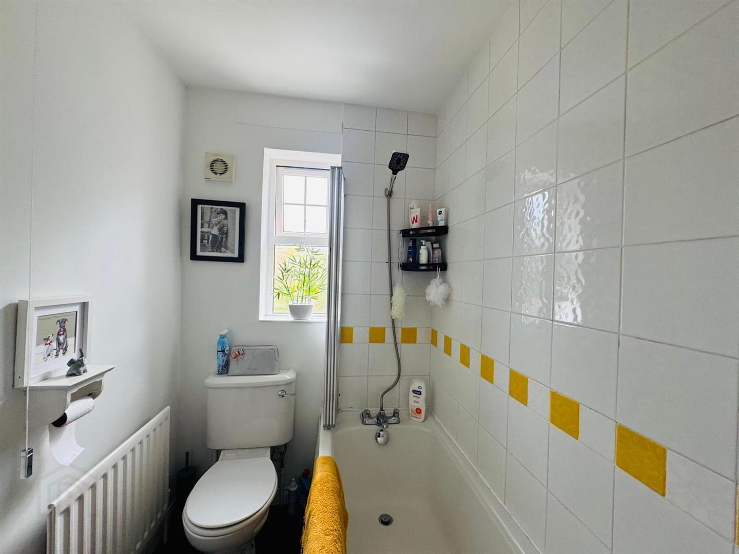 78a Rossdale 10 of 12