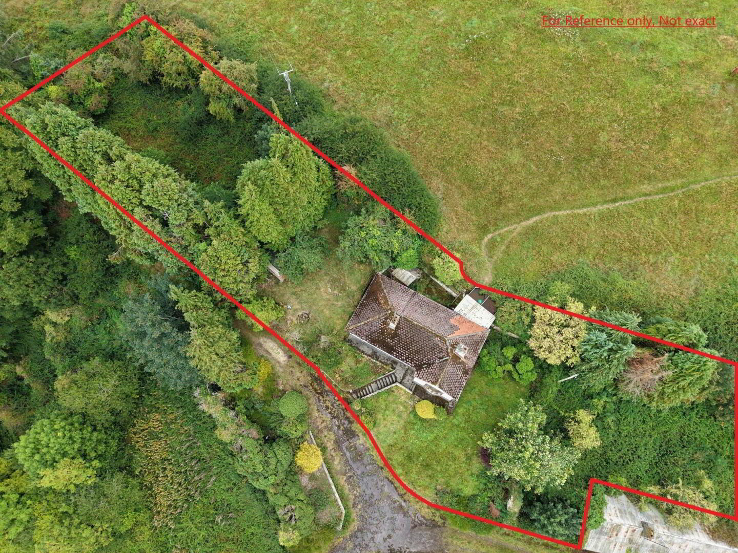 Whitesfort 12 of 13