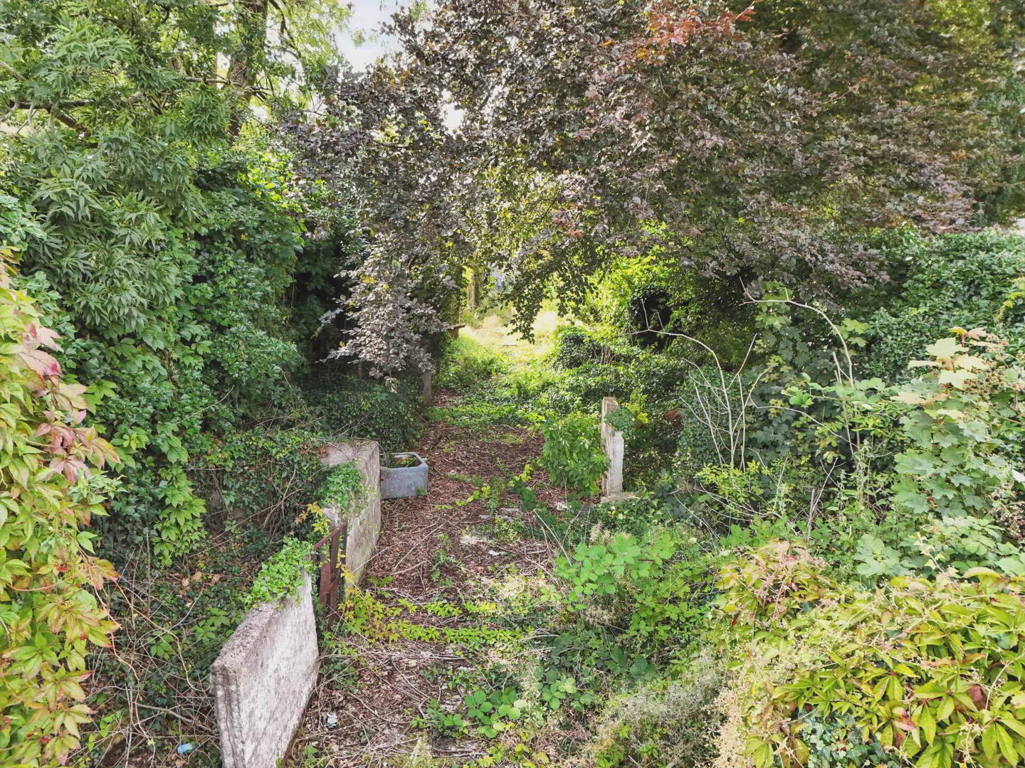 Bowgate Street 12 of 22