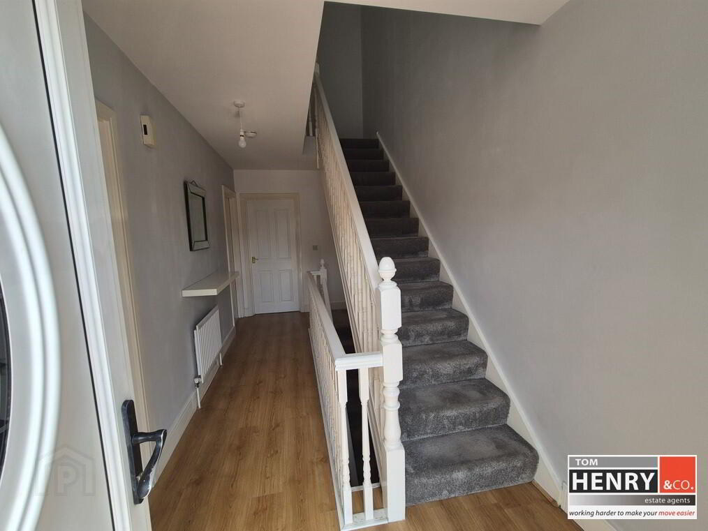49 Dungannon Street 3 of 19
