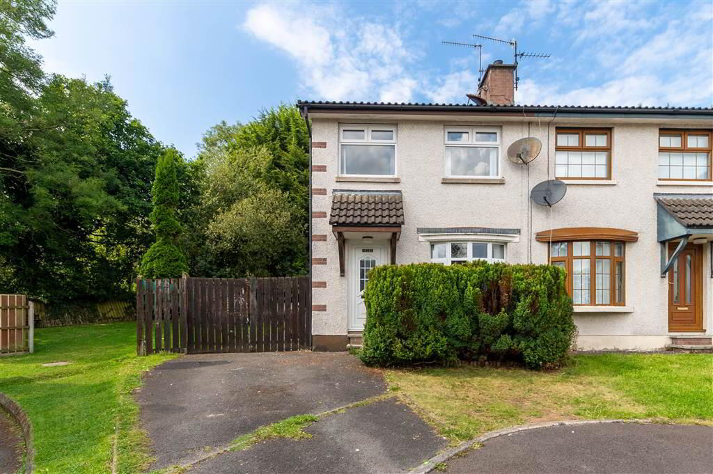 322 Lagmore Meadows 1 of 21