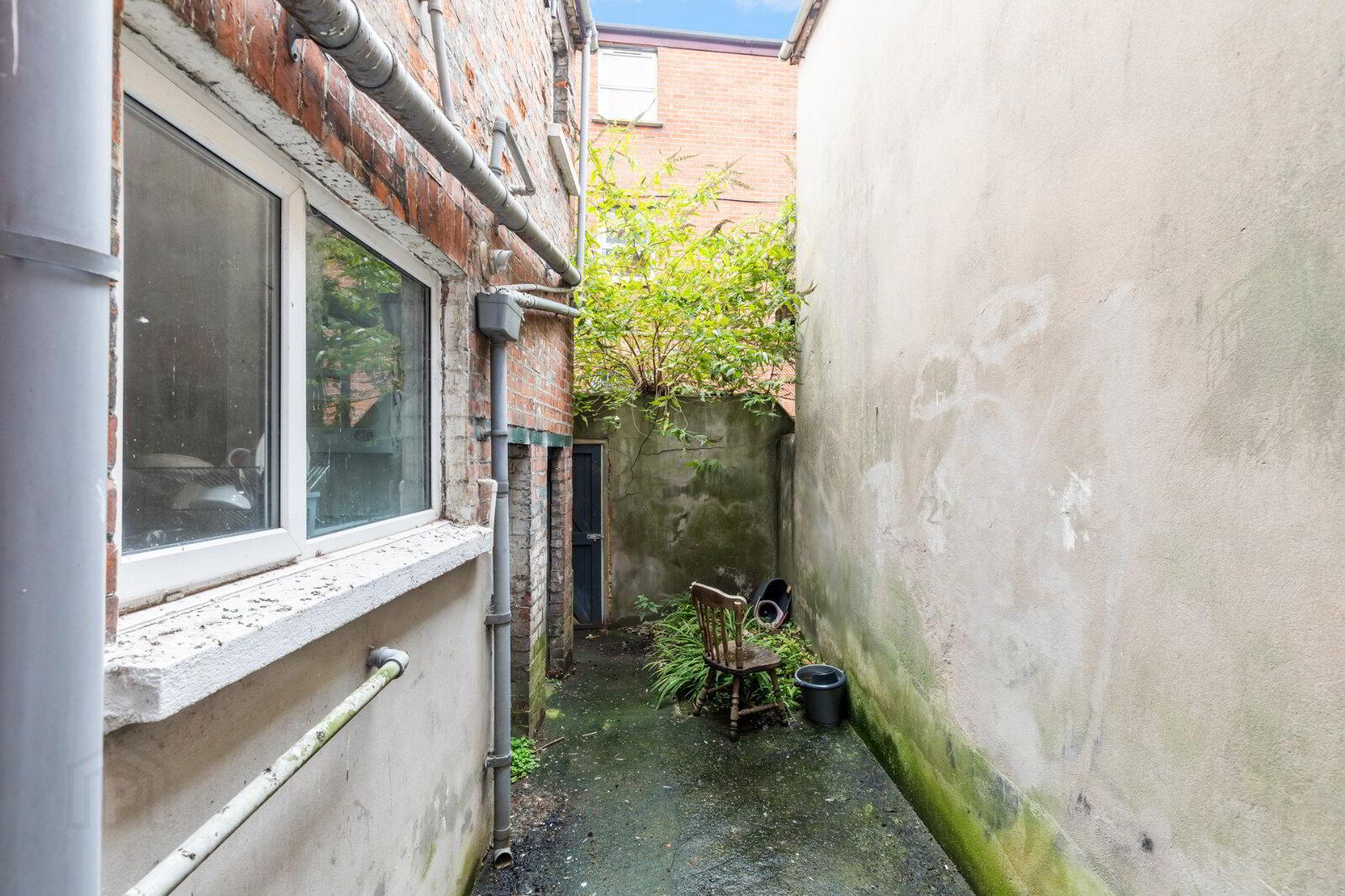 21 Wolseley Street 8 of 8