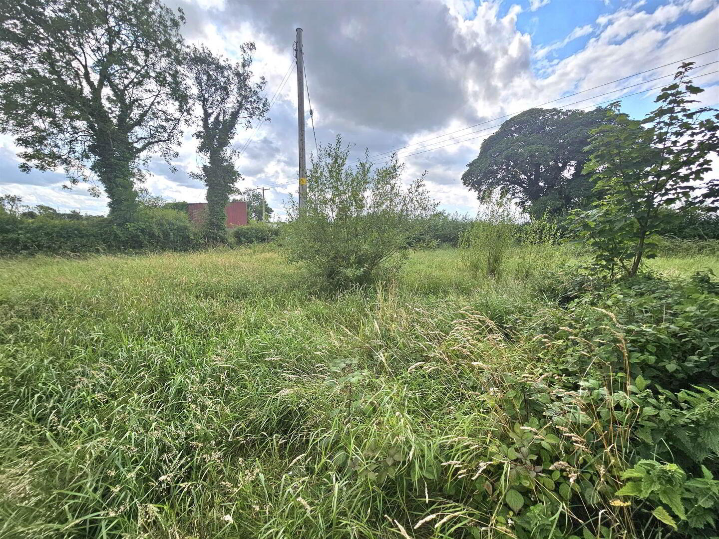 Site 79 Glenavy Road 3 of 9