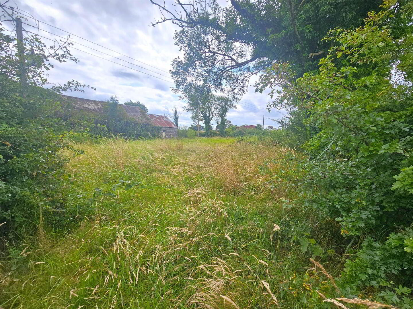 Site 79 Glenavy Road 4 of 9