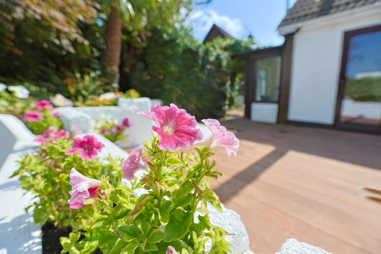 12 Seagoe Gardens 61 of 66