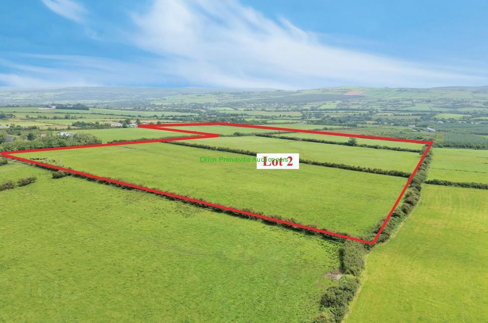 87.64 Acres, Ballygrennan 4 of 53