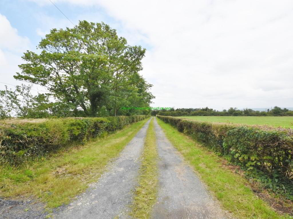 87.64 Acres, Ballygrennan 11 of 53