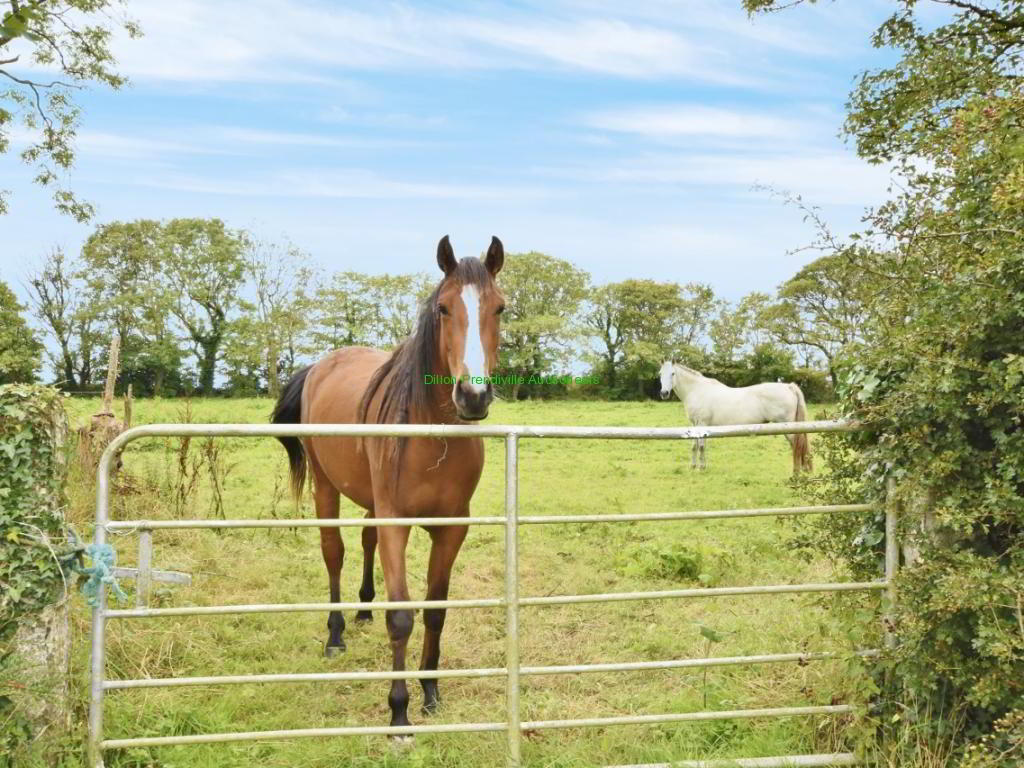87.64 Acres, Ballygrennan 53 of 53