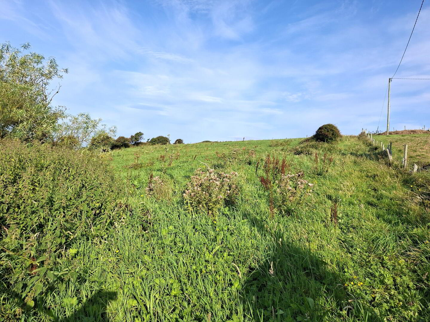 Ardeelan Lower 3 of 7