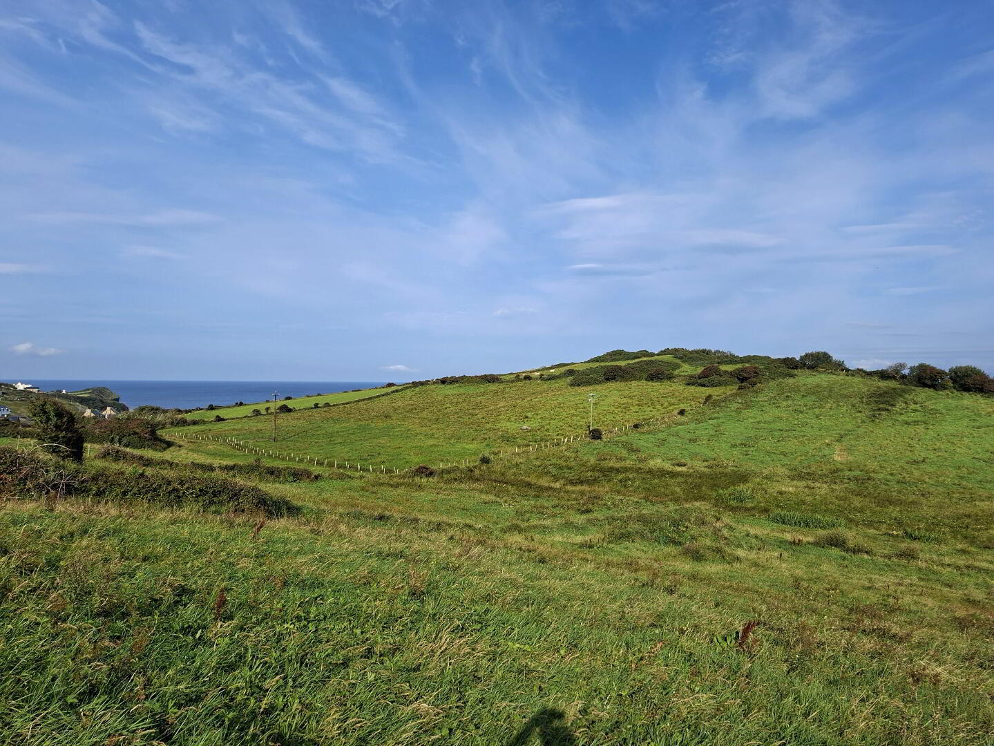 Ardeelan Lower 5 of 7
