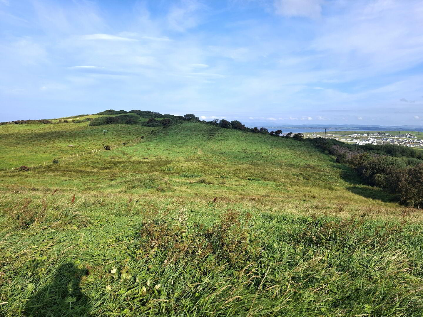Ardeelan Lower 6 of 7