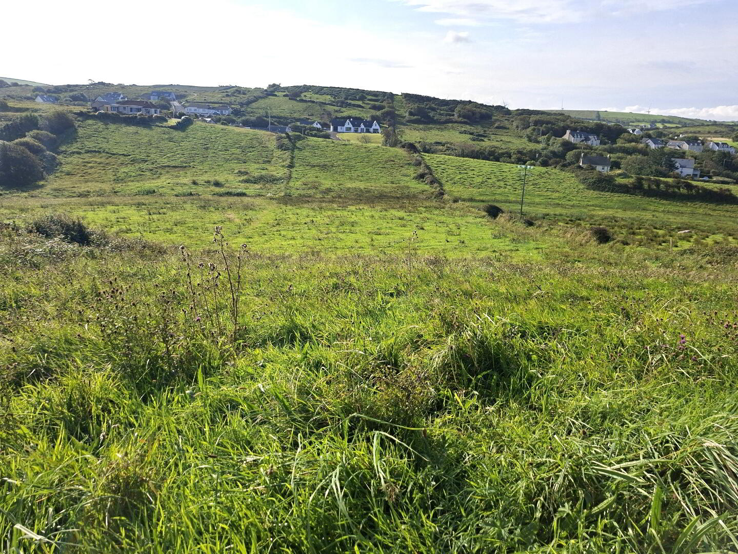 Ardeelan Lower 7 of 7