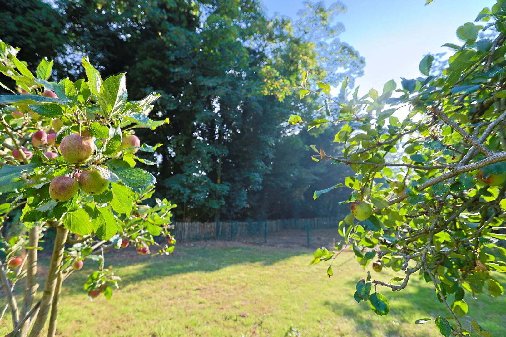 84 Ballygroobany Road 57 of 78