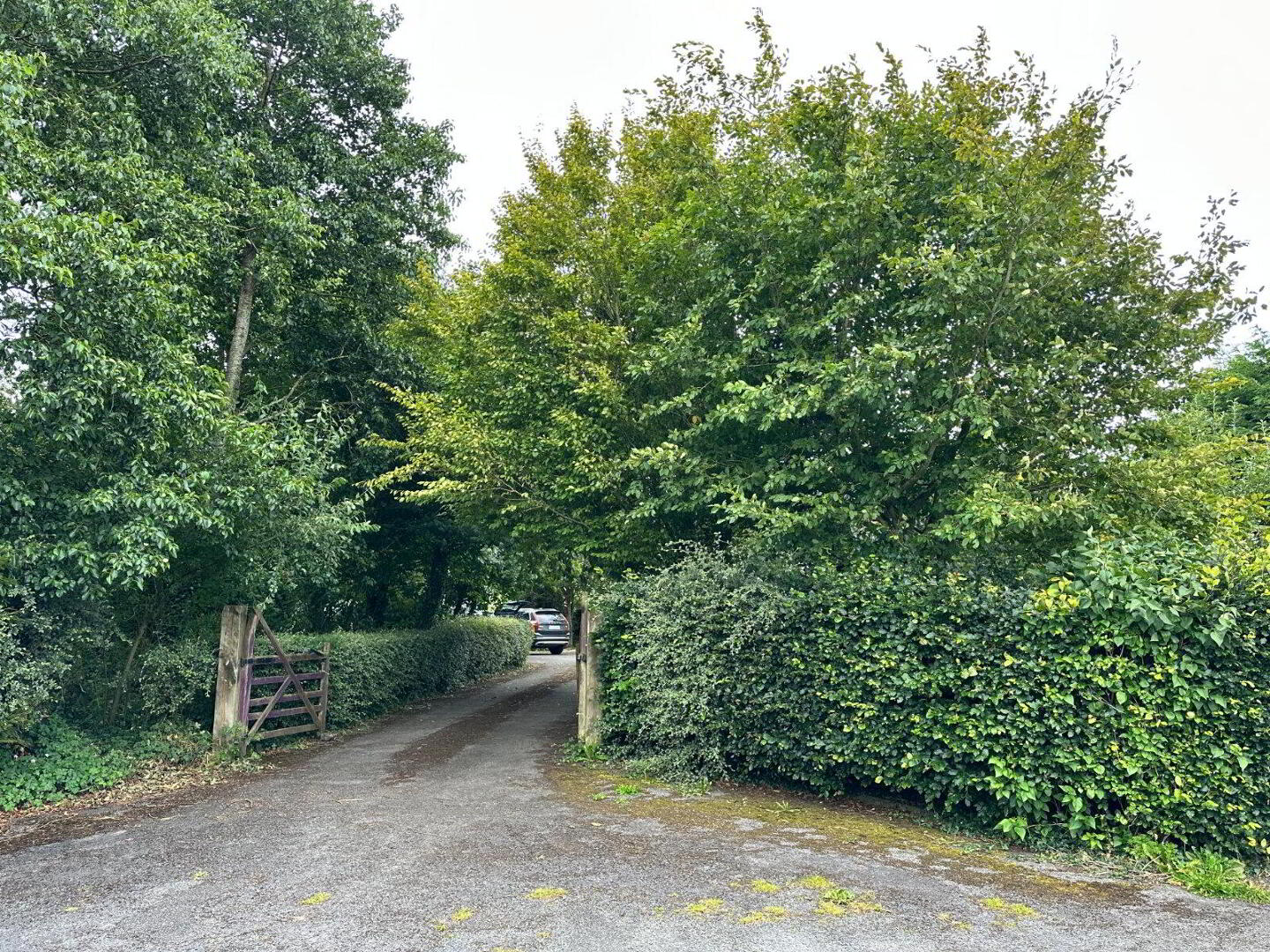 Old Road 33 of 46