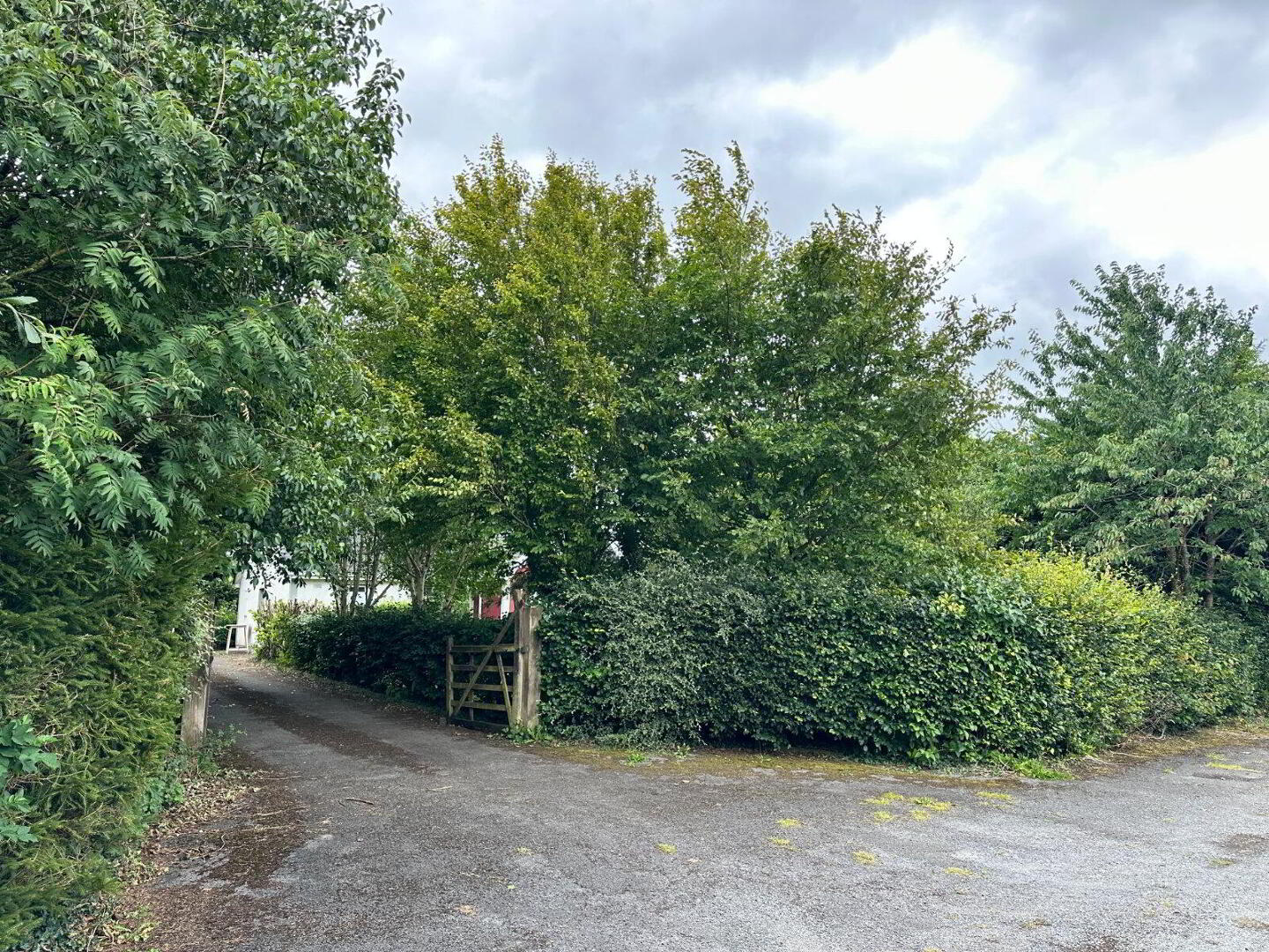 Old Road 34 of 46
