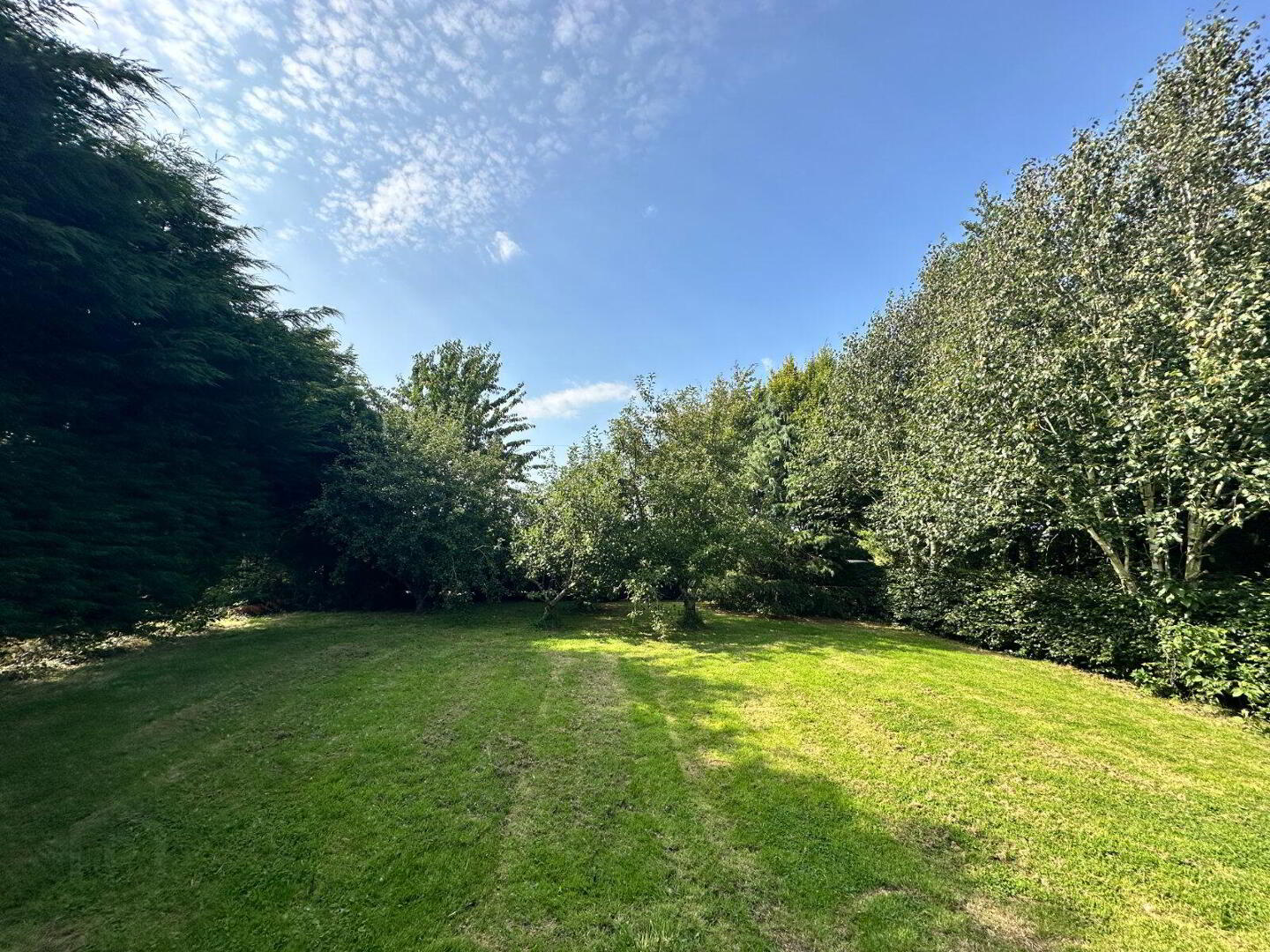 Old Road 42 of 46