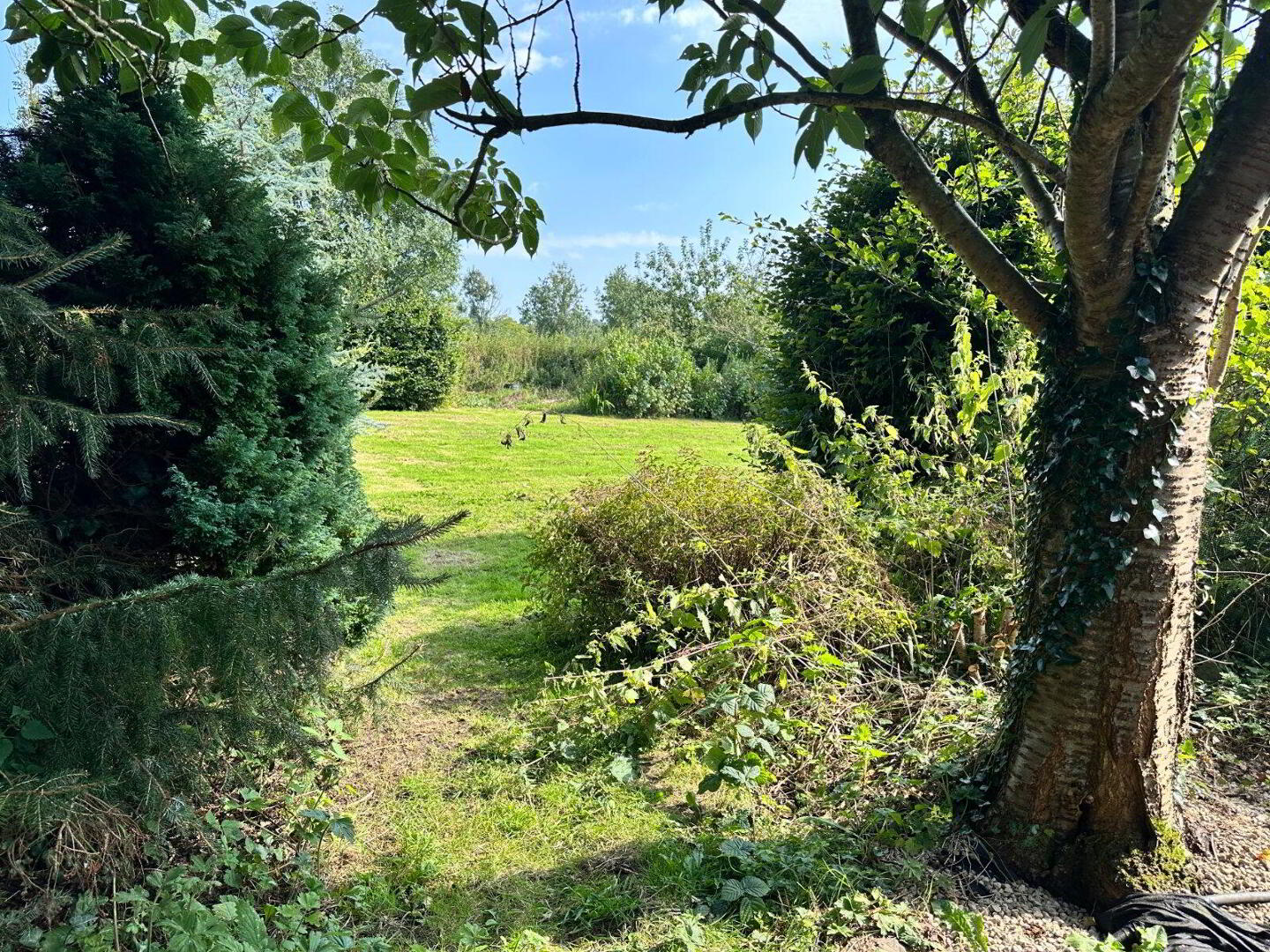 Old Road 45 of 46