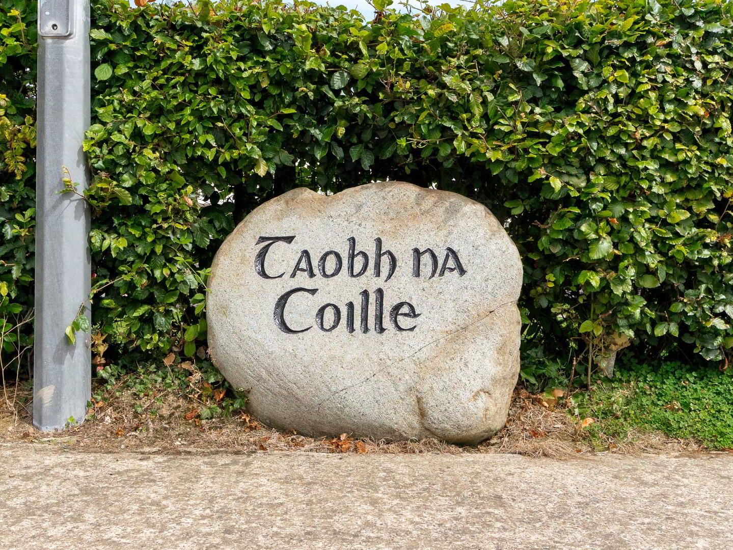 8 Taobh Na Coille 32 of 32
