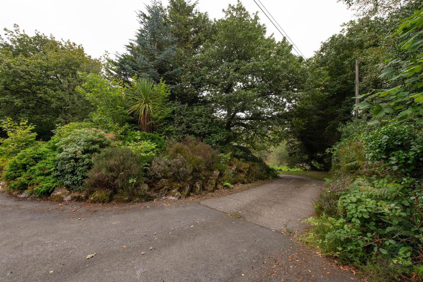 50 Old Park Road 58 of 58