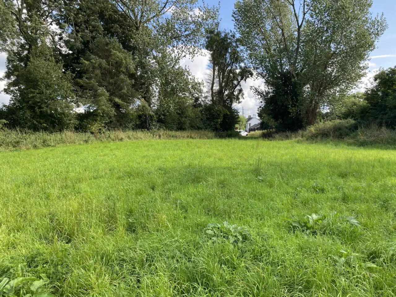 Derelict House, On 1.7 Acres Approx 4 of 4