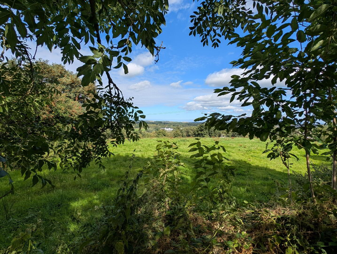 23 Cairnhill 25 of 25