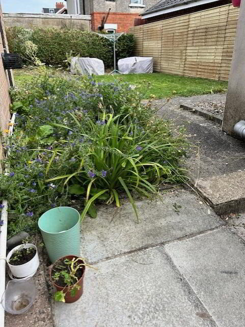 3 Ailesbury Drive 13 of 18