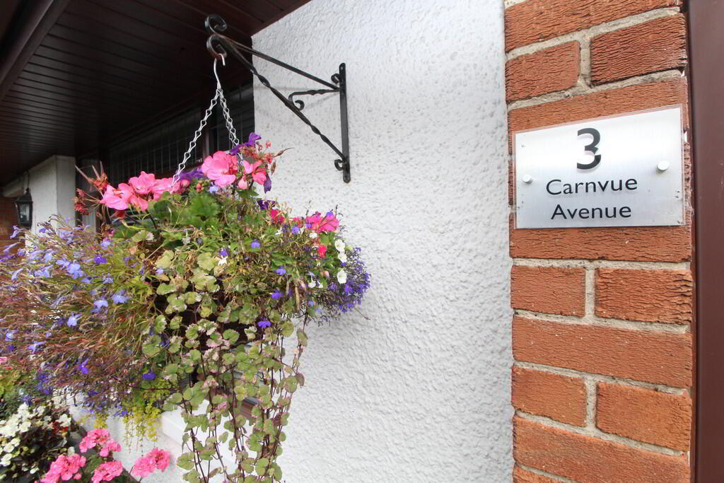 3 Carnvue Avenue 18 of 18