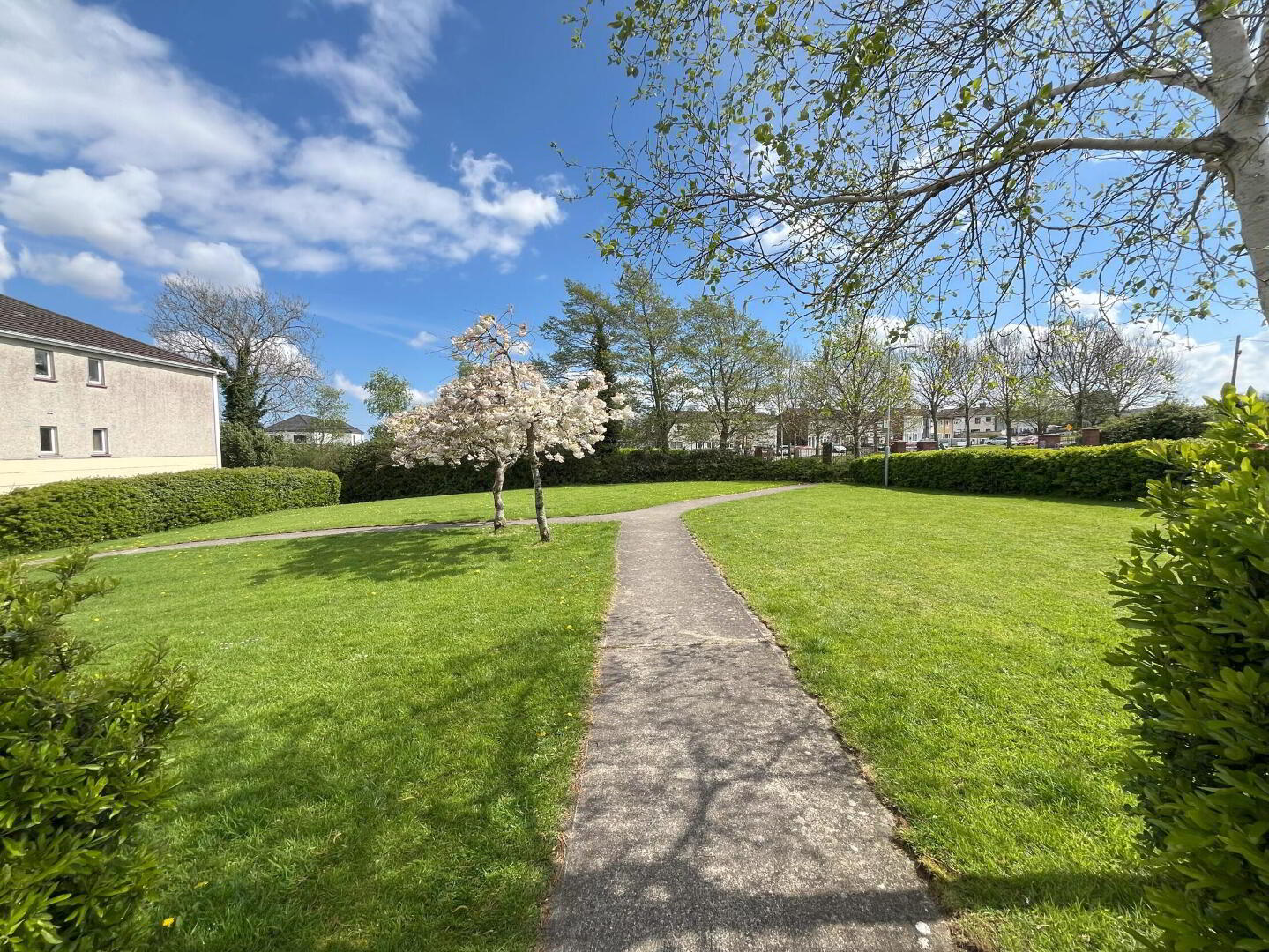 Hazelgrove Court 15 of 15