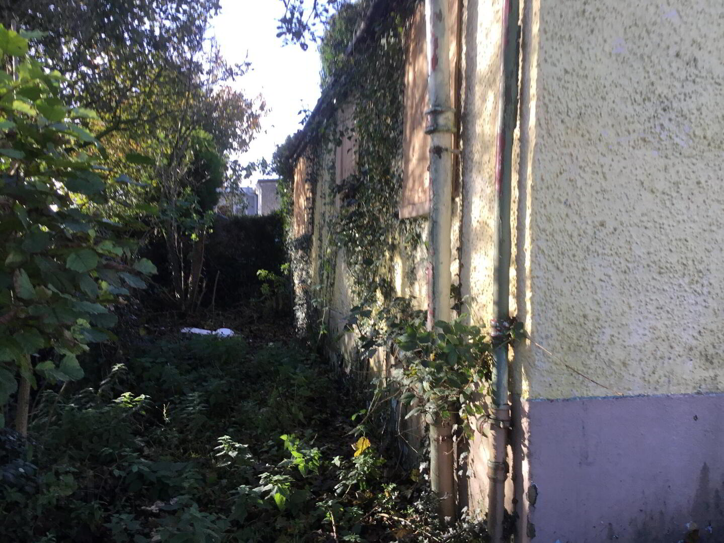 Gallows Lane 7 of 10