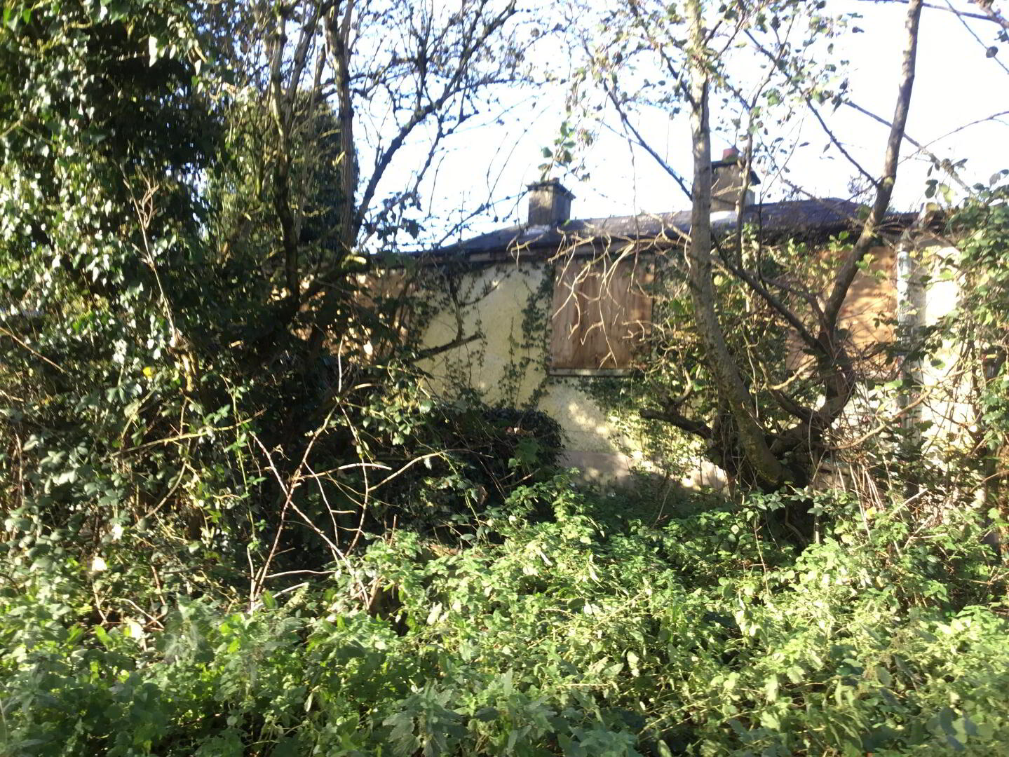 Gallows Lane 8 of 10