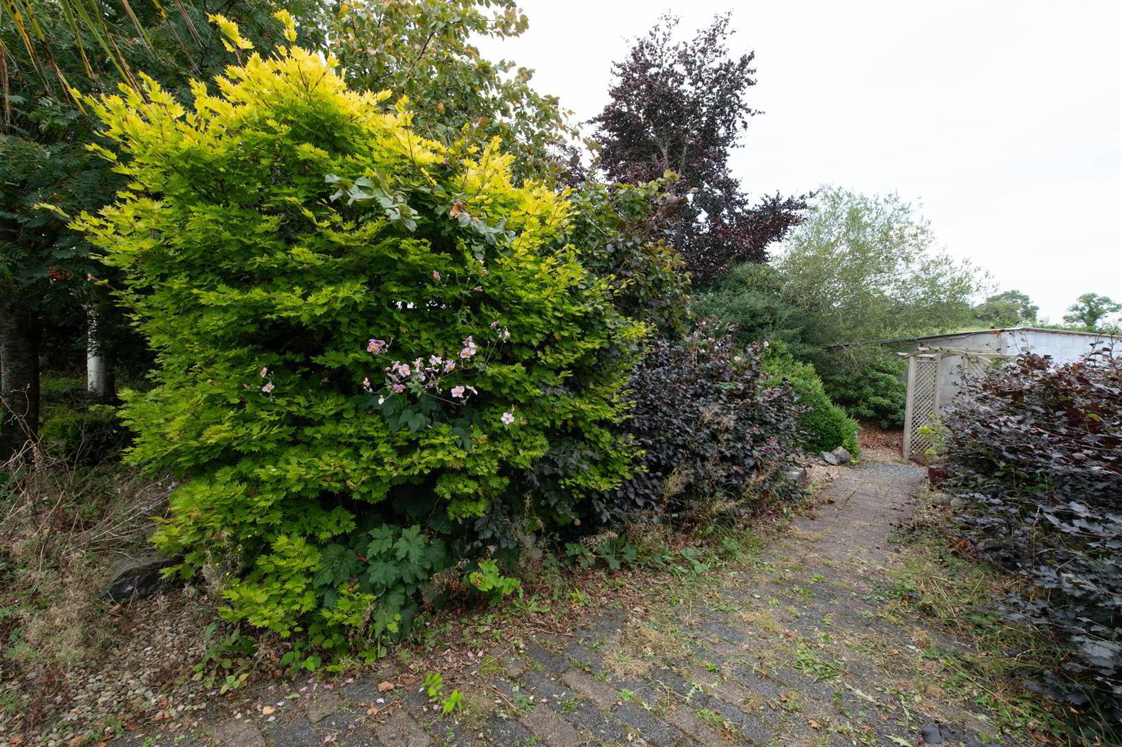 81 Poyntzpass Road 30 of 36